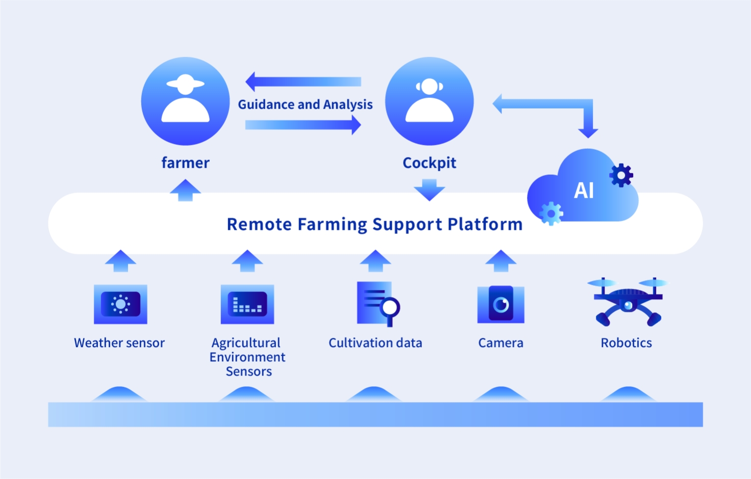 DX in agriculture